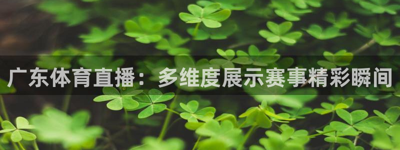 熊猫体育直播app下载：广东体育直播：多维度展示赛事精彩瞬间