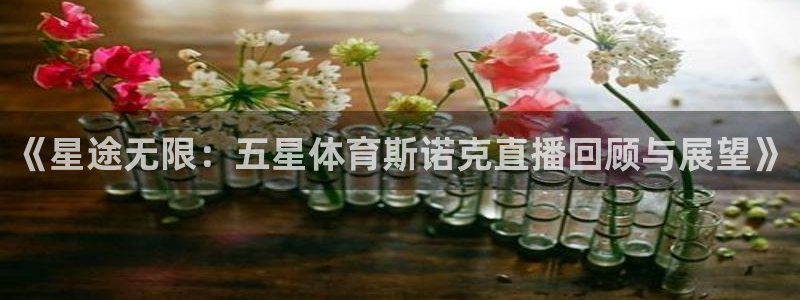 直播平台 熊猫：《星途无限：五星体育斯诺克直播回顾与展望》
