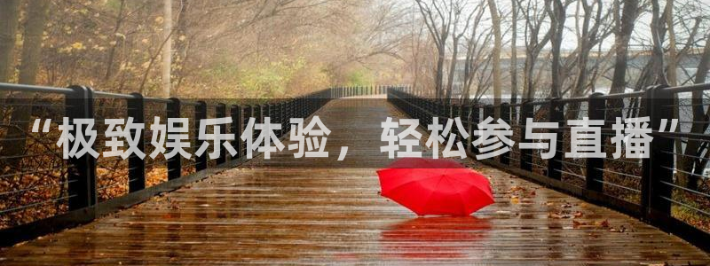熊猫体育下载免费看球赛直播：“极致娱乐体验，轻松参与直播”