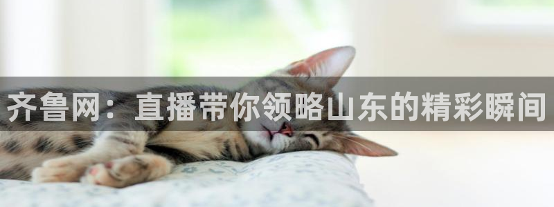 熊猫熊猫：齐鲁网：直播带你领略山东的精彩瞬间