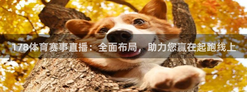 熊猫体育直播新版.新网页.org：178体育赛事直播：全面布局，助力您赢在起跑线上