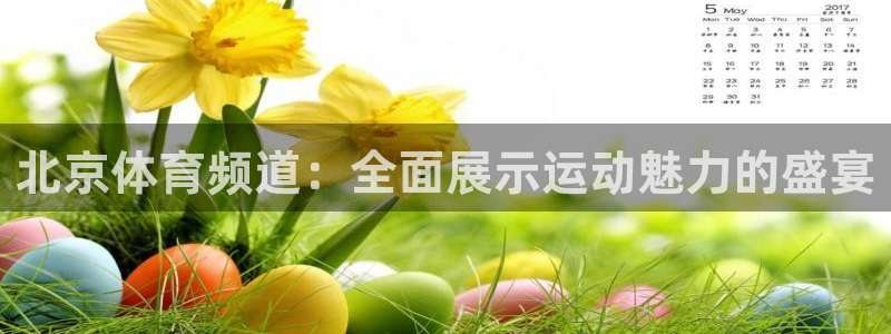 关于熊猫的：北京体育频道：全面展示运动魅力的盛宴
