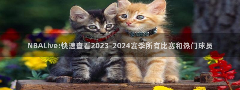 熊猫直播免费视频：NBALive:快速查看2023-2024赛季所有比赛和热门球员