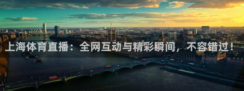 熊猫怎样直播：上海体育直播：全网互动与精彩瞬间，不容错过！