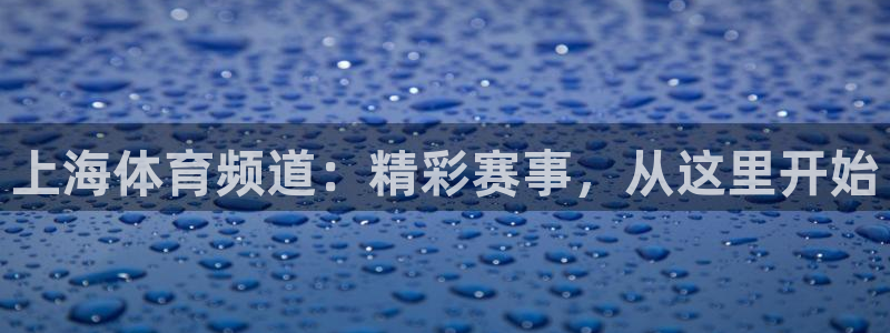 熊猫体育app下载安装：上海体育频道：精彩赛事，从这里开始