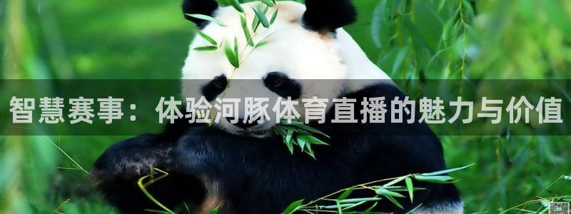 熊猫足球直播平台：智慧赛事：体验河豚体育直播的魅力与价值