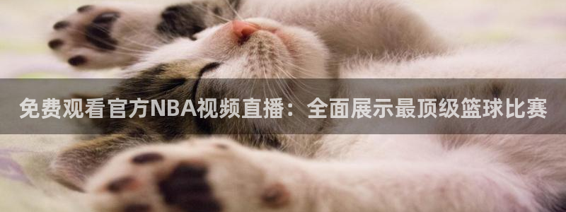 熊猫直播平台官网：免费观看官方NBA视频直播：全面展示最顶级篮球比赛