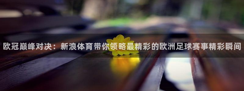 熊猫的：欧冠巅峰对决：新浪体育带你领略最精彩的欧洲足球赛事精彩瞬间
