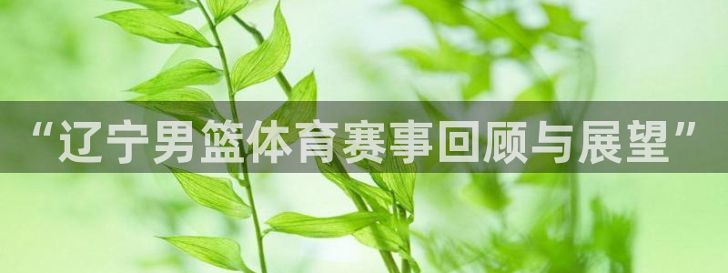 熊猫跳舞视频：“辽宁男篮体育赛事回顾与展望”