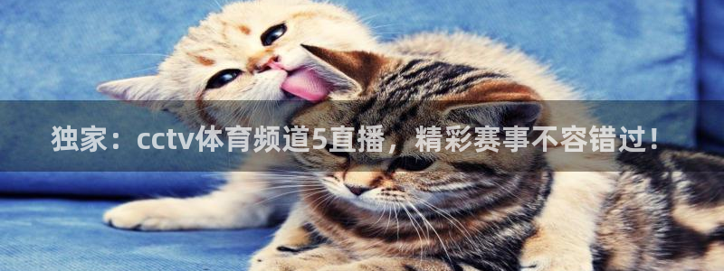 熊猫体育app：独家：cctv体育频道5直播，精彩赛事不容错过！