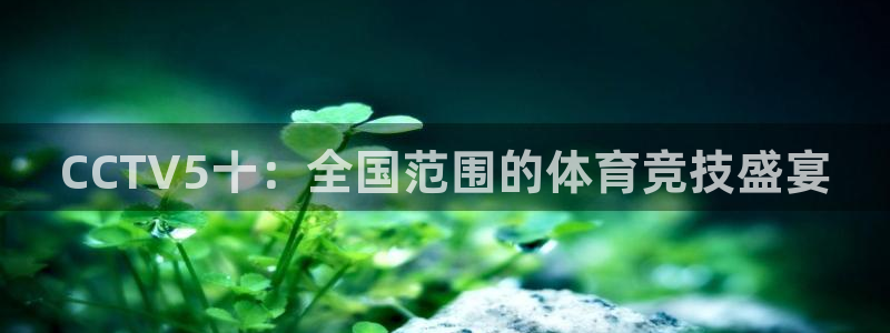 熊猫体育手机版下载：CCTV5十：全国范围的体育竞技盛宴